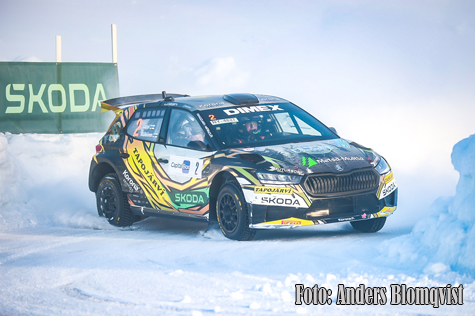 © Anders Blomqvist, Blommans Bilder.
