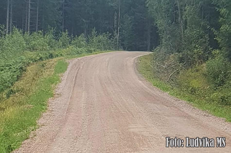 © Ludvika MS.