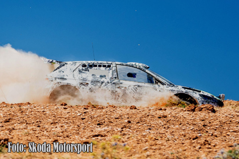 © Skoda Motorsport.
