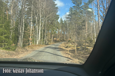 © Gustav Johansson.